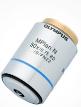 mpln-white.png mpln-white.png